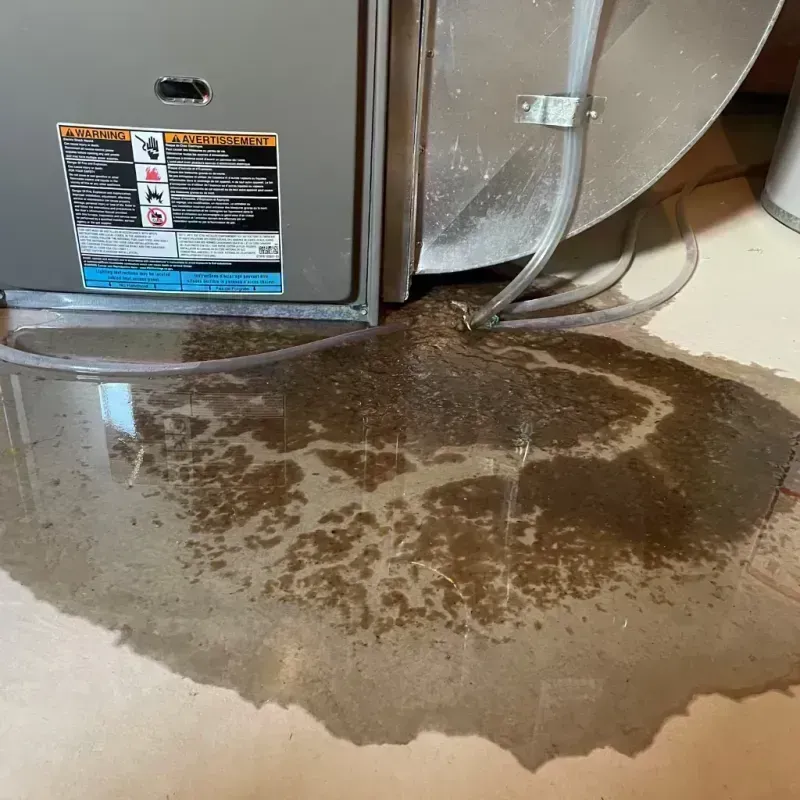 Appliance Leak Cleanup in Freeburg, IL